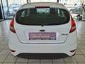 Ford Fiesta Trend 1.BESITZ, GUTER ZUSTAND, KLIMA Weiß - thumbnail 6