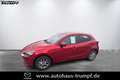 Mazda 2 75PS EXCLUSIVE TOURING-Paket NAV Rot - thumbnail 1