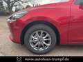 Mazda 2 75PS EXCLUSIVE TOURING-Paket NAV Rot - thumbnail 13