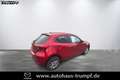 Mazda 2 75PS EXCLUSIVE TOURING-Paket NAV Rot - thumbnail 3