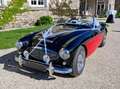 Austin-Healey 100 AUSTIN HEALEY 100/6 Schwarz - thumbnail 6