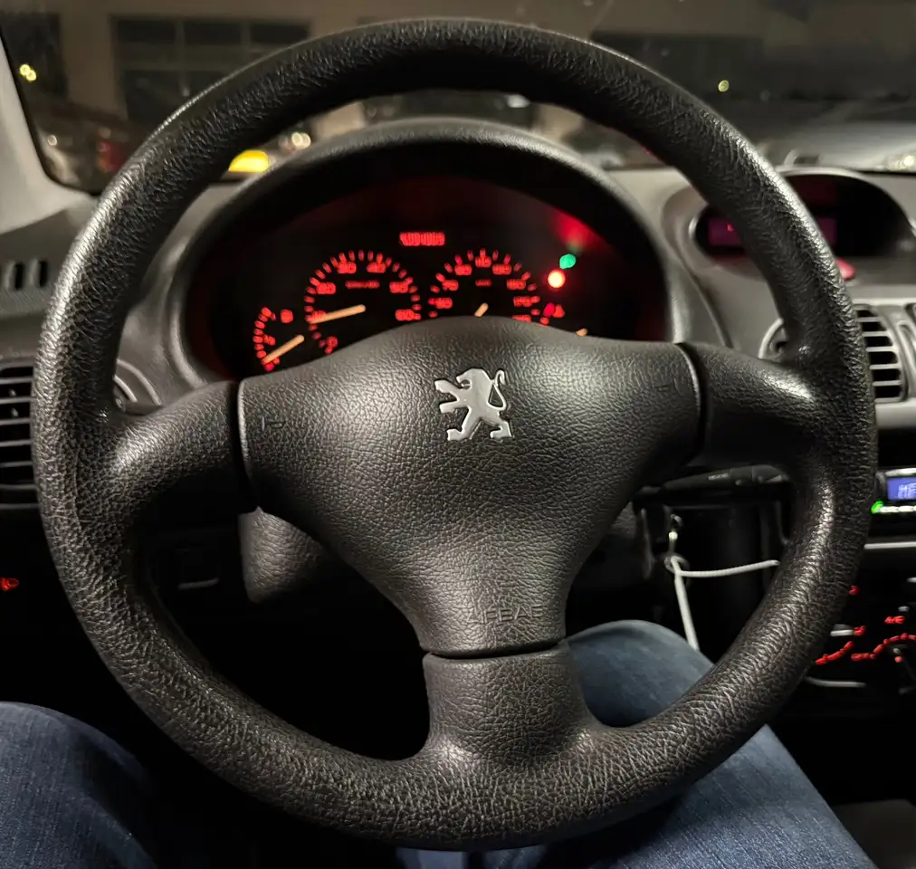 Peugeot 206 1.4 Gentry|NAP|APK05-27|94DKM!|NweDBriem|Airco|Ele, foto 9