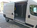 Toyota Proace Max H2 Kasten Elektro L3H2 Weiß - thumbnail 22