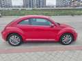 Volkswagen Beetle 1.6TDI Beetlemanía 105 Rojo - thumbnail 14
