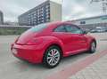 Volkswagen Beetle 1.6TDI Beetlemanía 105 Rojo - thumbnail 4