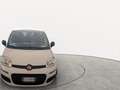 Fiat Panda 2021 1.0 firefly hybrid s&s 5 posti Wit - thumbnail 1
