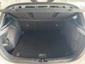 Kia Ceed / cee'd 1.5 T-GDI DCT7 Ultimate Edition*Style JBL* Weiß - thumbnail 5