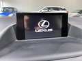 Lexus CT 200h LEXUS Hybride, Sport, navi, stoelverw. Grijs - thumbnail 10