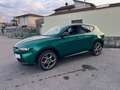 Alfa Romeo Tonale 1.3 280 CV Plug-in Hybrid AT6 Q4 Speciale Verde - thumbnail 15