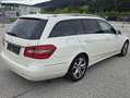 Mercedes-Benz E 220 E 220 T Avantgarde CDI Aut. Avantgarde Weiß - thumbnail 4