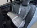 Volkswagen Golf Variant R-Line 4Motion Matrix Pano Kamera Grau - thumbnail 18