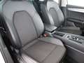 CUPRA Leon ST 2.0 TDI Aut LED RADAR NAVI R-CAM SITZHZG Blanc - thumbnail 14