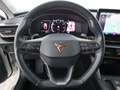 CUPRA Leon ST 2.0 TDI Aut LED RADAR NAVI R-CAM SITZHZG Blanc - thumbnail 21