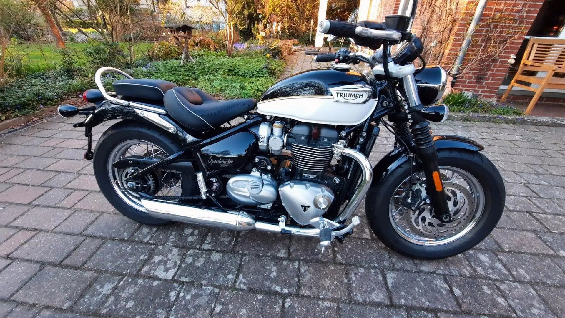 Triumph Speedmaster Bonneville Negro - 1