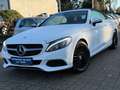 Mercedes-Benz C 180 CABRIO* Blanc - thumbnail 33