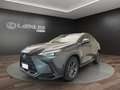 Lexus NX 450h+ NX 450h+ 2.5 phev Premium 4wd e-cvt Argento - thumbnail 1