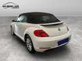 Volkswagen Maggiolino 2011 Cabrio - Maggiolino Cabrio 1.2 tsi Design Blanc - thumbnail 4