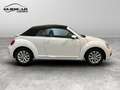 Volkswagen Maggiolino 2011 Cabrio - Maggiolino Cabrio 1.2 tsi Design Blanc - thumbnail 7