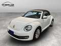 Volkswagen Maggiolino 2011 Cabrio - Maggiolino Cabrio 1.2 tsi Design Blanc - thumbnail 1