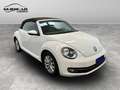 Volkswagen Maggiolino 2011 Cabrio - Maggiolino Cabrio 1.2 tsi Design Blanc - thumbnail 3