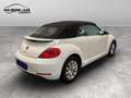 Volkswagen Maggiolino 2011 Cabrio - Maggiolino Cabrio 1.2 tsi Design Blanc - thumbnail 6