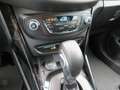 Ford B-Max 1,6 Duratec  Titanium Grau - thumbnail 12