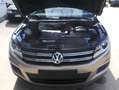 Volkswagen Tiguan Trend 1.-Hand, Scheckheft, 141000km, 8-f Bereift Beige - thumbnail 20