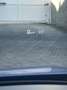 Audi RS3 Performance SB TFSI quattro S-tronic Blau - thumbnail 13