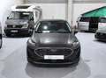 Ford Fiesta Titanium X |RFK|ACC|PDC|SHZ|Hybrid| Grau - thumbnail 2