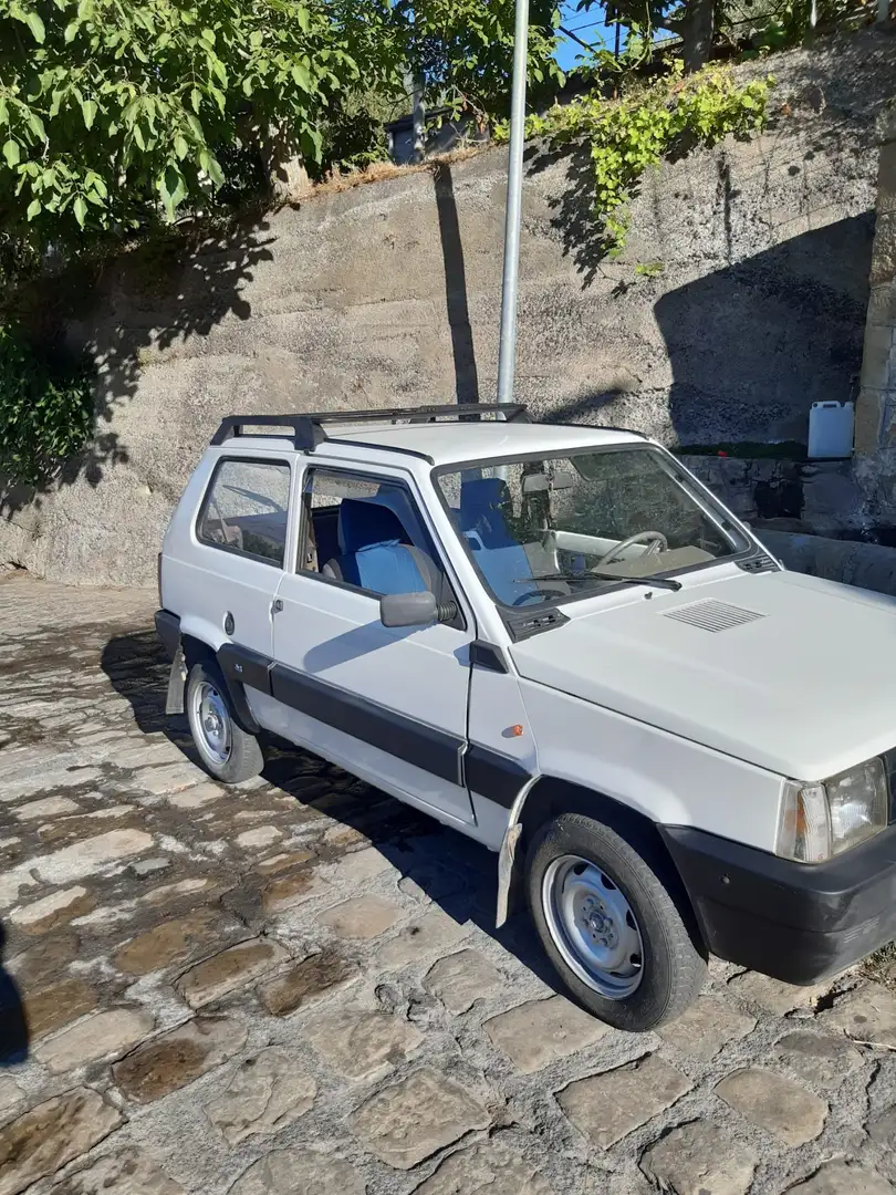 Fiat Panda 1.1 Fire Trekking 4x4 cat. - 1
