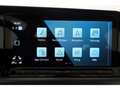 Volkswagen Golf Variant 2.0 TDI 4Mot. Alltrack DSG AHK/LED Gris - thumbnail 17