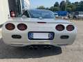 Chevrolet Corvette C5 COUPE' CON HARD TOP - ISCRITTA ASI Argento - thumbnail 6