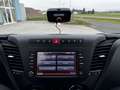 Iveco Sonstige 70C21 (2998ccm 3.0L) Blau - thumbnail 23