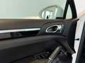 Porsche Cayenne II Platinum Edition Aut.*Sport-Design*PDLS*Bose Weiß - thumbnail 29