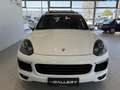 Porsche Cayenne II Platinum Edition Aut.*Sport-Design*PDLS*Bose Weiß - thumbnail 2