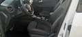 Ford Kuga Kuga 2.5 full hybrid ST-Line X 2wd 190cv cvt Bianco - thumbnail 10