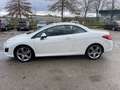 Peugeot 308 308 CC 2.0 HDi 163ch FAP Féline Blanc - thumbnail 2