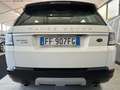 Land Rover Range Rover Sport Range Rover Sport 3.0 tdV6HSE Dynamic auto my16 E6 Blanc - thumbnail 8