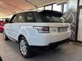 Land Rover Range Rover Sport Range Rover Sport 3.0 tdV6HSE Dynamic auto my16 E6 Blanc - thumbnail 6