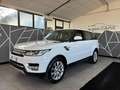 Land Rover Range Rover Sport Range Rover Sport 3.0 tdV6HSE Dynamic auto my16 E6 Blanc - thumbnail 4