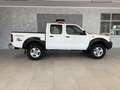 Nissan King Cab Double Cab 2.5 Navara-Gancio Traino Білий - thumbnail 3