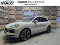 Porsche Cayenne 3.0 E-Hybrid Platinum Edition Camera Leder Sportch Grijs - thumbnail 1