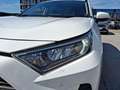 Toyota RAV 4 RAV4 2.5 4x4 Active ACC+LED+Navi+2xKlima+Kam.+LM Weiß - thumbnail 11