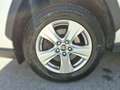 Toyota RAV 4 RAV4 2.5 4x4 Active ACC+LED+Navi+2xKlima+Kam.+LM Weiß - thumbnail 10