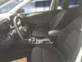 Ford Focus Titanium Bluetooth Navi LED Klima Blanc - thumbnail 13