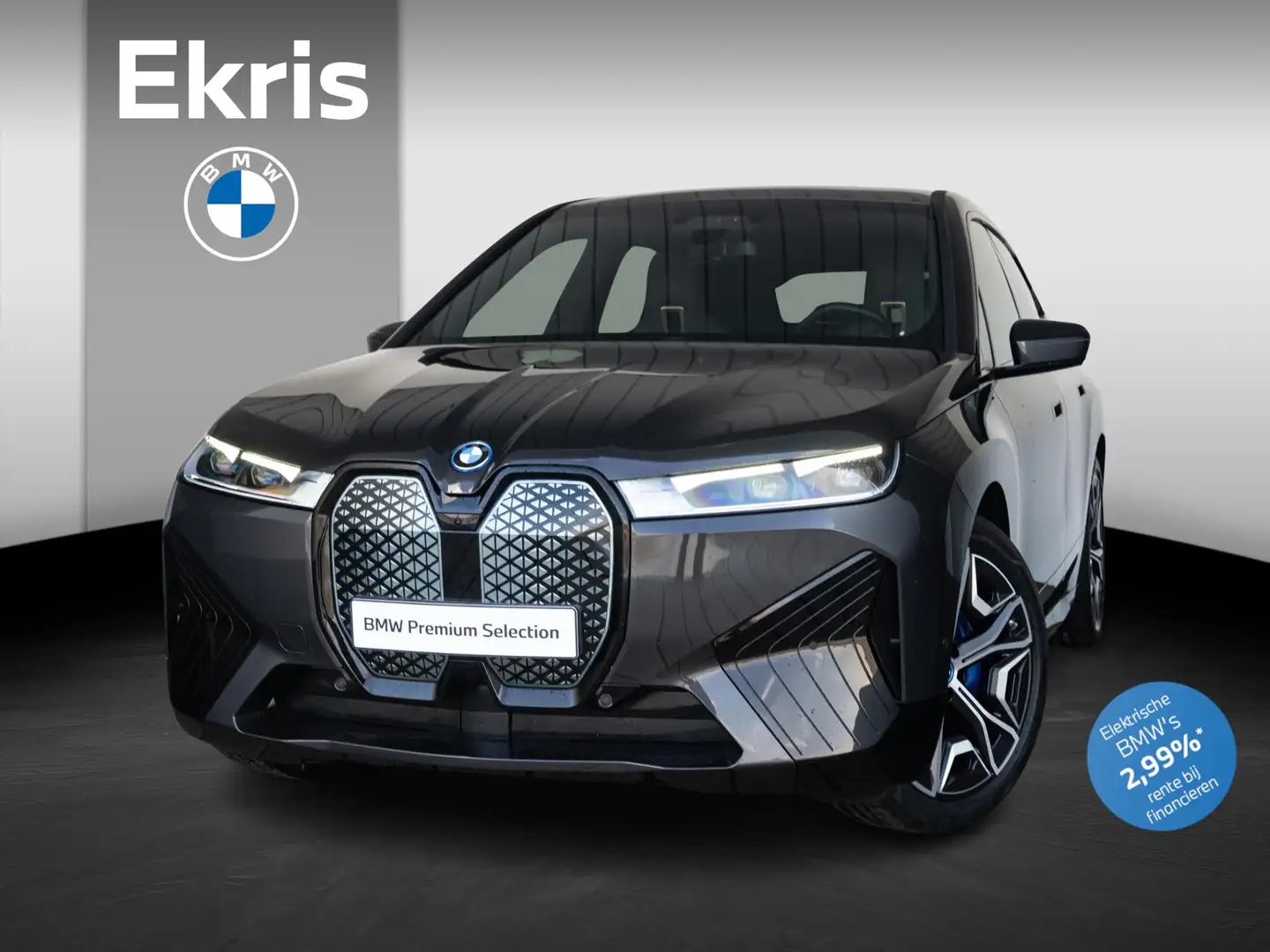 BMW iX xDrive40 High Executive | M-Sportpakket | Driving Grijs - 1
