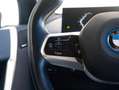 BMW iX xDrive40 High Executive | M-Sportpakket | Driving Grijs - thumbnail 29
