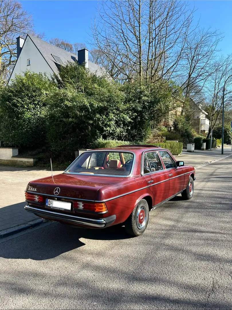 Mercedes-Benz 230 W123 - 2