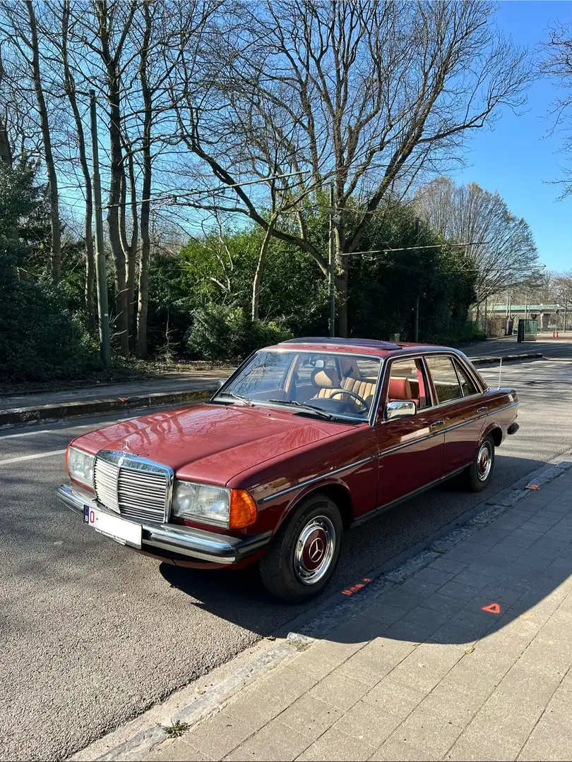 Mercedes-Benz 230 W123 - 1