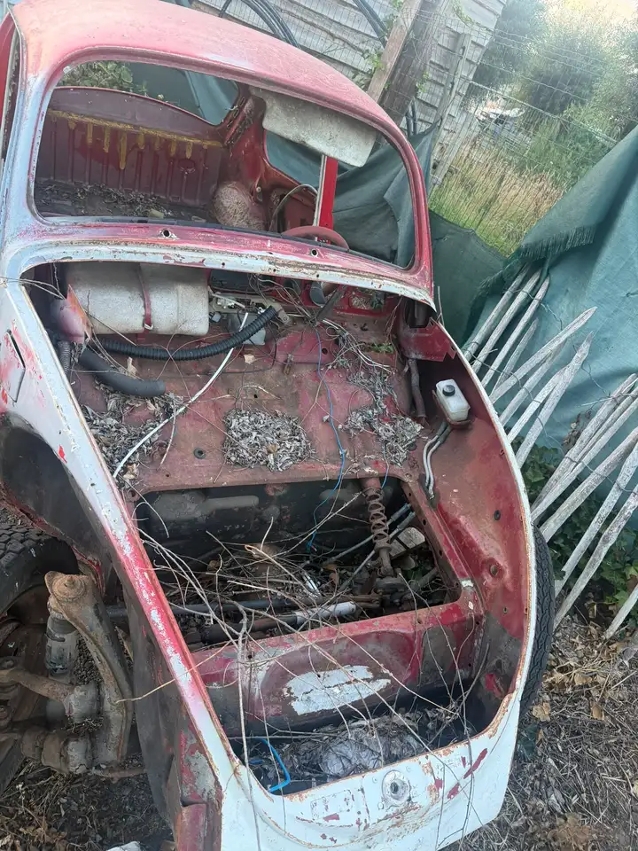 Volkswagen Kever, foto 2
